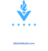 Top Web Developer Company