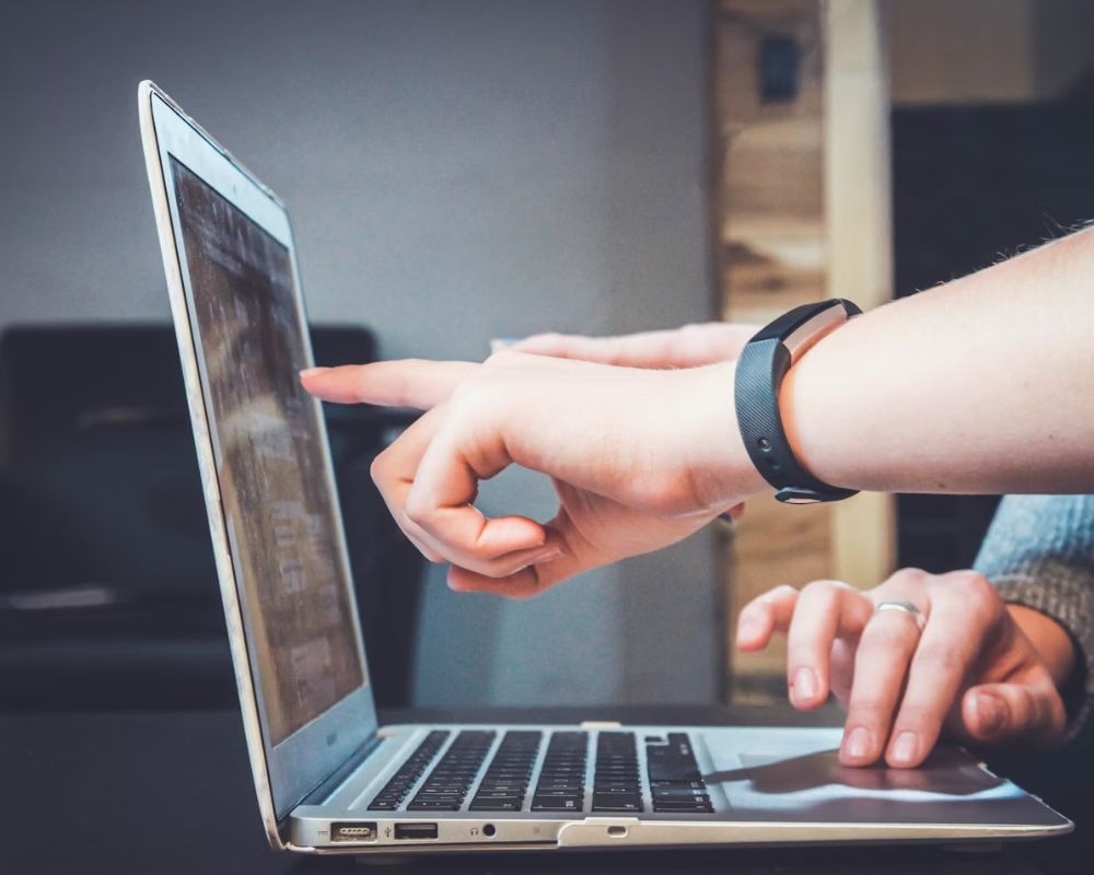 checking business performance in laptop